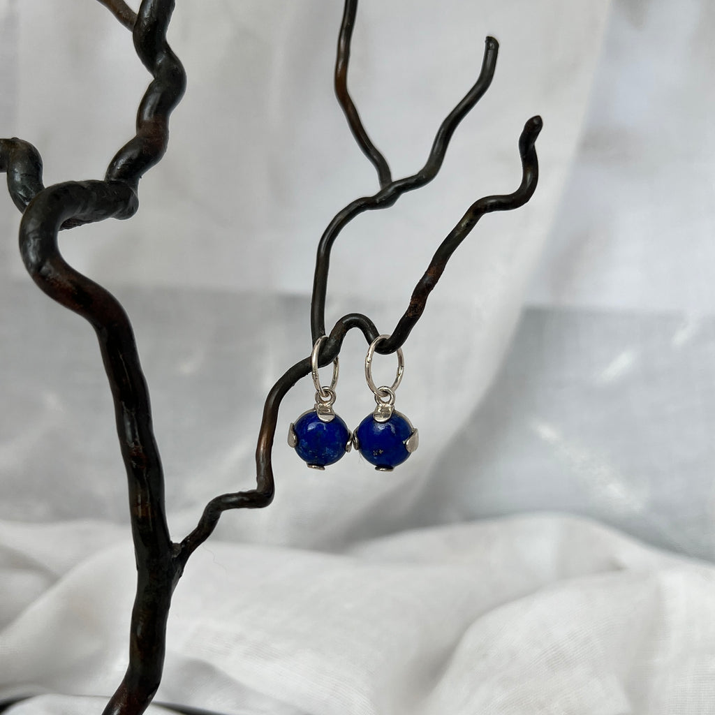 Blue gemstone earrings on a black branch against a white background