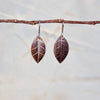 Copper leaf earrings with leaf skeleton imprint, 20mm x 12mm, silver hooks, handmade by Tania Mallow Jewellery