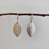 Silver leaf earrings with leaf skeleton imprint, 20mm x 12mm, silver hooks, handmade by Tania Mallow Jewellery